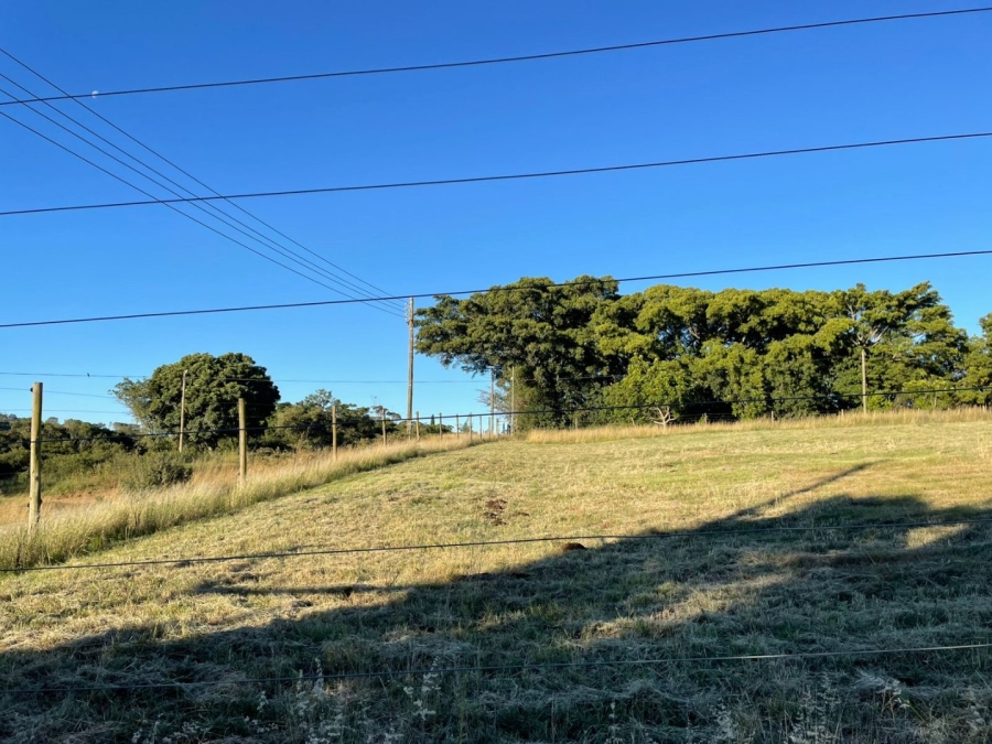 3 Bedroom Property for Sale in Bathurst Eastern Cape